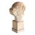 1960s Greco-Roman Artist, Female Bust, 1960, Plaster For Sale - Image 5 of 7