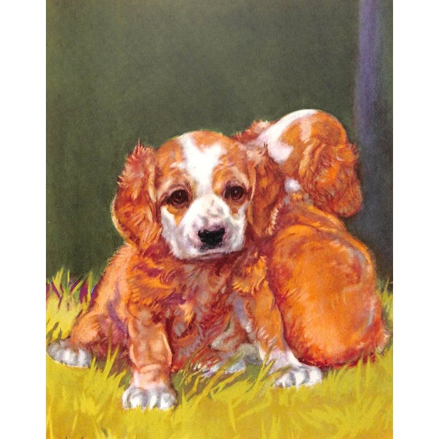 "Puppy Stories" 1934 Beaudry, Evien G. For Sale - Image 4 of 8