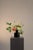 Contemporary Night Shift Floral Arrangement by Apartment 387 For Sale - Image 3 of 6