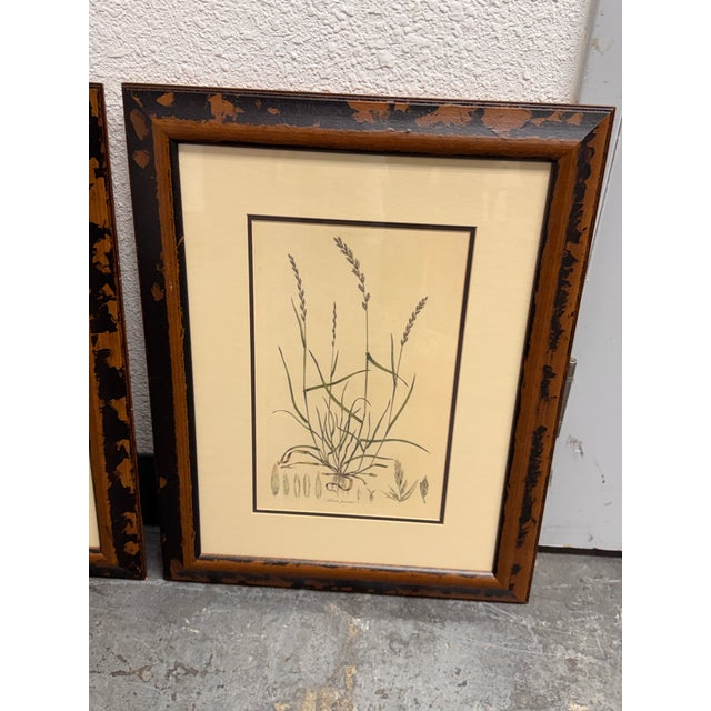 Crate & Barrel Botanical Study Prints, Set of Three For Sale In San Francisco - Image 6 of 12