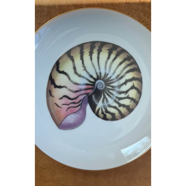 Vintage Coastal Fitz and Floyd Shell Motif Ceramic Plates - Set of Twelve For Sale - Image 11 of 12