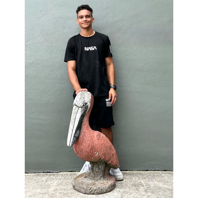 Vintage Painted Cement Pelican Sculpture For Sale In West Palm - Image 6 of 12