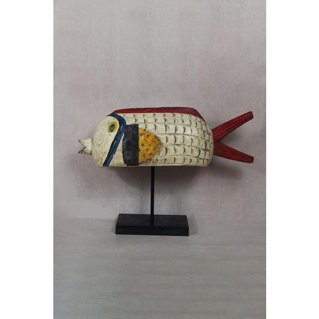 Mali Bozo White Puppet Fish For Sale - Image 5 of 5
