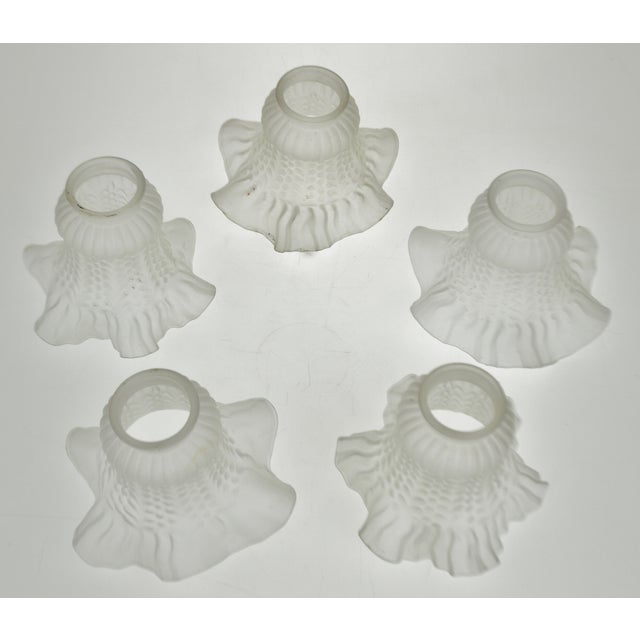 Vintage Victorian Style Ruffled Tulip Glass Lamp Shades Group of 5
