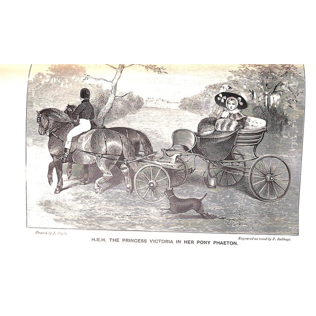 "Thoroughbred & Other Ponies" 1903 Gilbey, Sir Walter Bart. For Sale In New York - Image 6 of 7