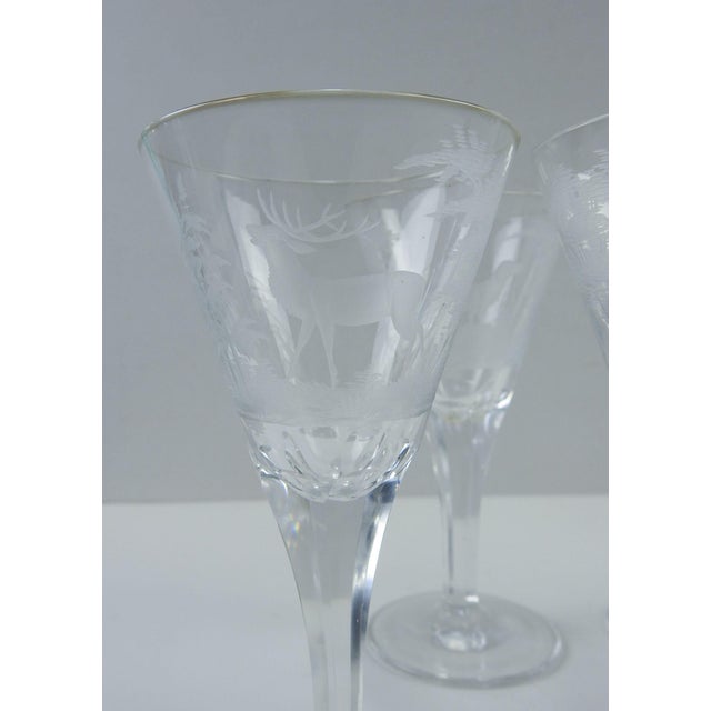 Etched Wildlife Vintage Wine Glasses Set of 7 Chairish