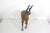 Mid-Century Modern Vintage Leather Wrapped Antelope or Impala Animal Figurine For Sale - Image 3 of 9
