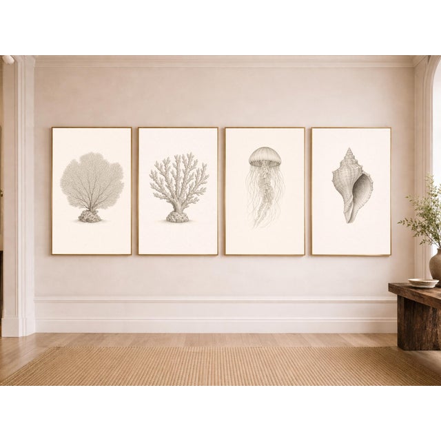 A refined collection of four coastal studies featuring delicate coral forms, a flowing jellyfish, and sculptural shell...