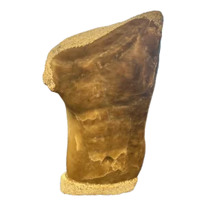 Marble Male Torso Sculpture on Lucite Block Base