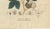 Antique Cotton Botanical Print, 1831 For Sale - Image 5 of 10