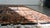 Early 20th Century Persian Sarouk Carpet For Sale - Image 10 of 12