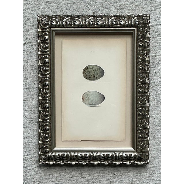 Late 20th Century Vintage Original Book Plate of an Egg For Sale - Image 5 of 12