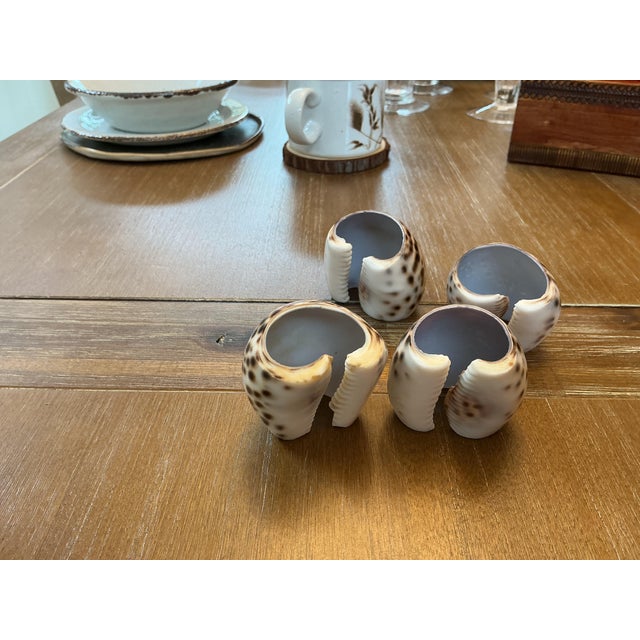 Add organic texture and effortless coastal charm to your dining space with this set of four natural Tiger Cowrie shell...
