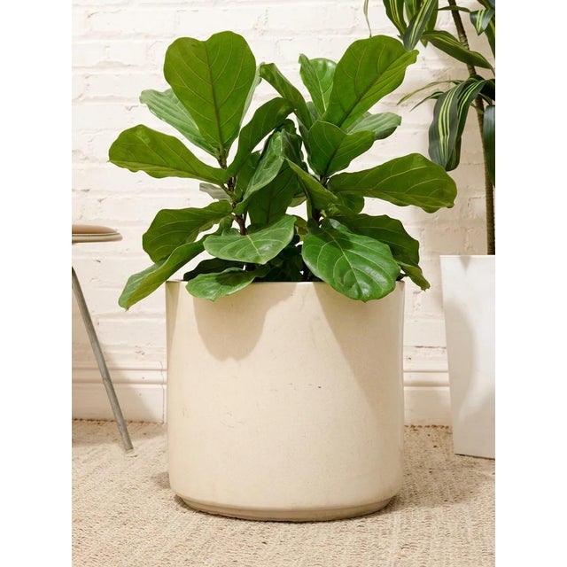 A charming vintage planter with a clean cylindrical silhouette and a soft blush pink finish. Its simple rounded form and...
