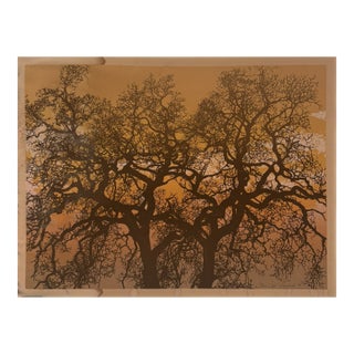 William Omurcada “Oak” Woods Tree Limited Edition Serigraph Print 177/375 1979 For Sale