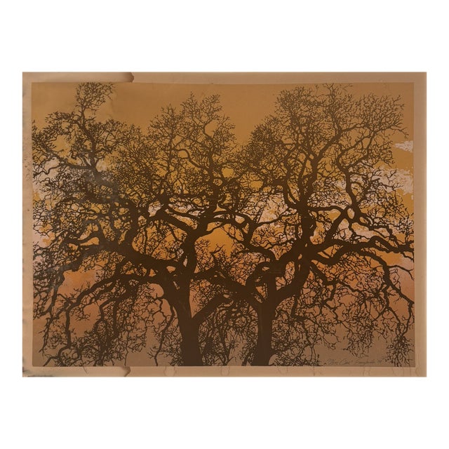 William Omurcada “Oak” Woods Tree Limited Edition Serigraph Print 177/375 1979 For Sale