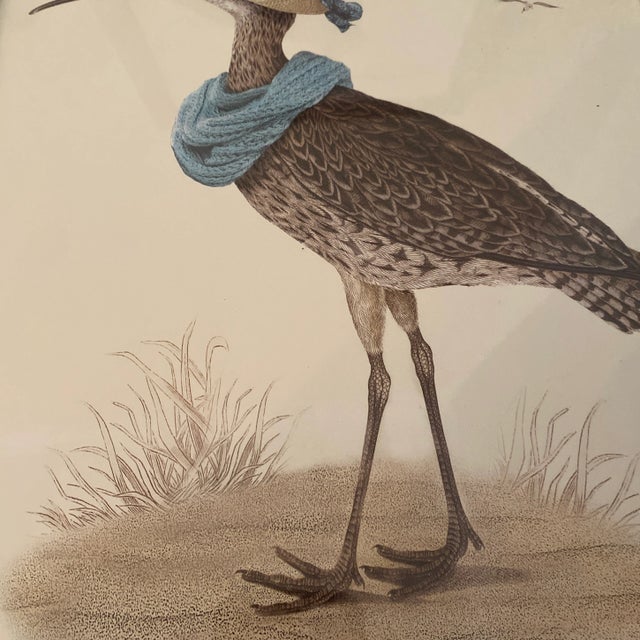 Silver Early 21st Century Whimsical Bird Prints in Silver Frame ~ a Pair For Sale - Image 8 of 11