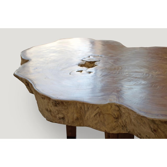 Andrianna Shamaris Single Slab Live Edge Coffee Table or Side Table For Sale - Image 14 of 18