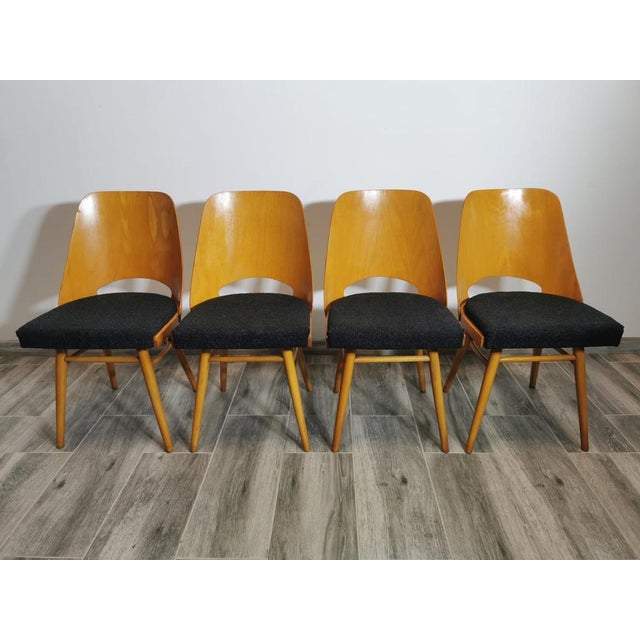 Dining Chairs by Radomir Hoffman for Ton, 1950s, Set of 4 For Sale - Image 9 of 18