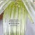 Mid-Century Green and Clear Murano Glass Palmette Chandelier, Italy, 2010s For Sale - Image 9 of 10