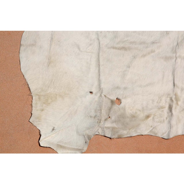 Hand-Crafted White Cowhide Rug from Argentina, Folk Art Style, 1980 For Sale - Image 13 of 18