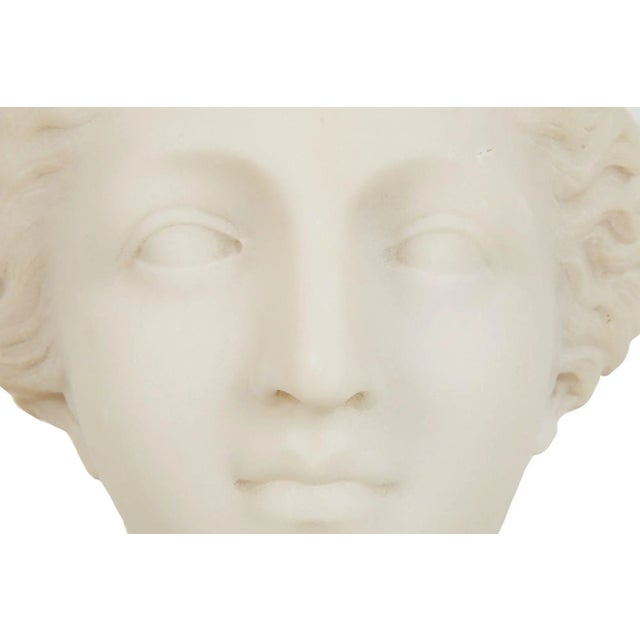 Italian Grand Tour Carved Alabaster Bust of Venus of Milo, 20th Century For Sale - Image 16 of 18