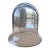 Small Glass Bell Shape Cloche, 4" For Sale