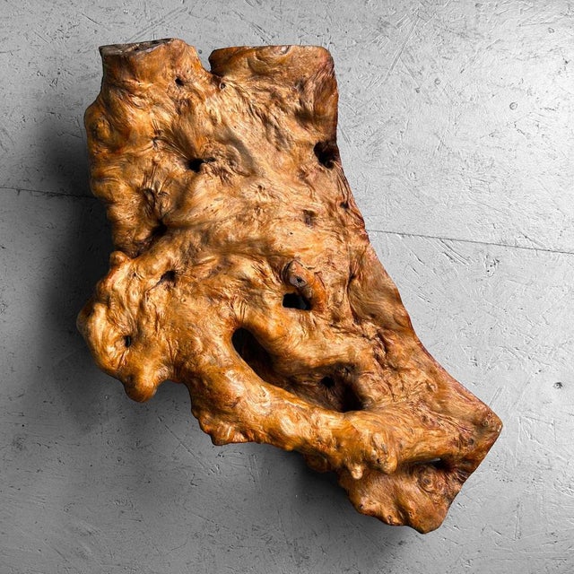 Wabi Sabi Burl Wood Decoration, Japan, 1950s For Sale - Image 4 of 17