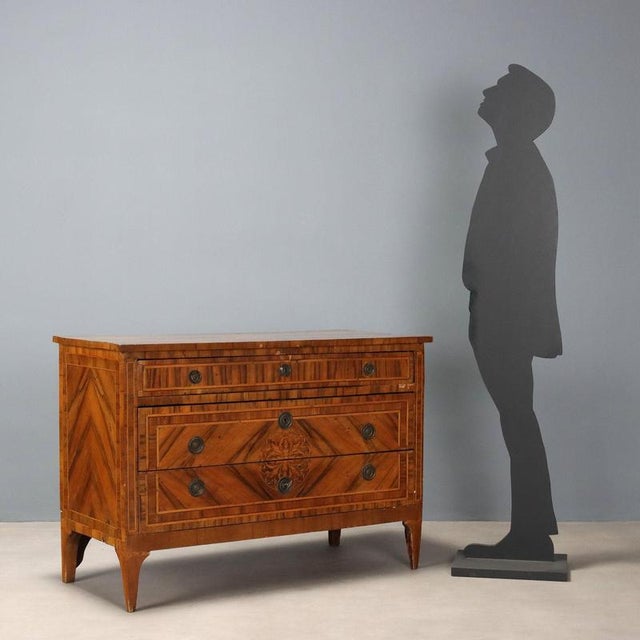 Neoclassical walnut chest of drawers. Maple trim and olive wood frames, maple floral inlays in the center of the top shelf...