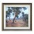 Australian Gum Trees Landscape by John Sharman For Sale