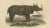Terrestrial Mammals, 1845, Paper For Sale - Image 3 of 6