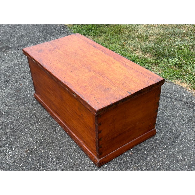 Red Red Wash + Blue Chest For Sale - Image 8 of 13