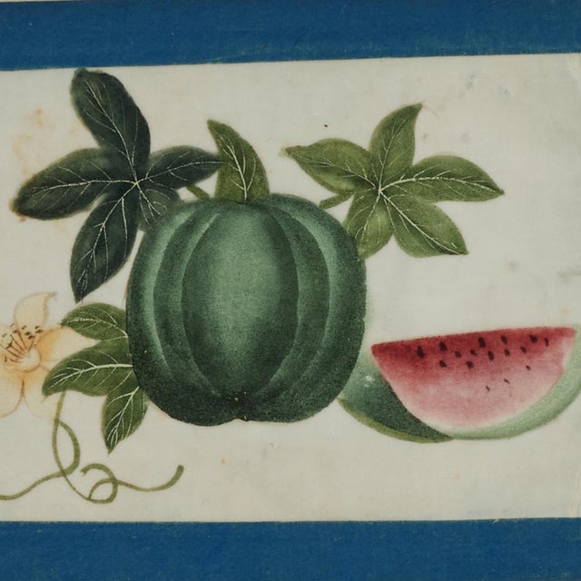 Set of Nine Antique Chinese Botanical Fruit Paintings on Pith Paper For Sale - Image 17 of 18