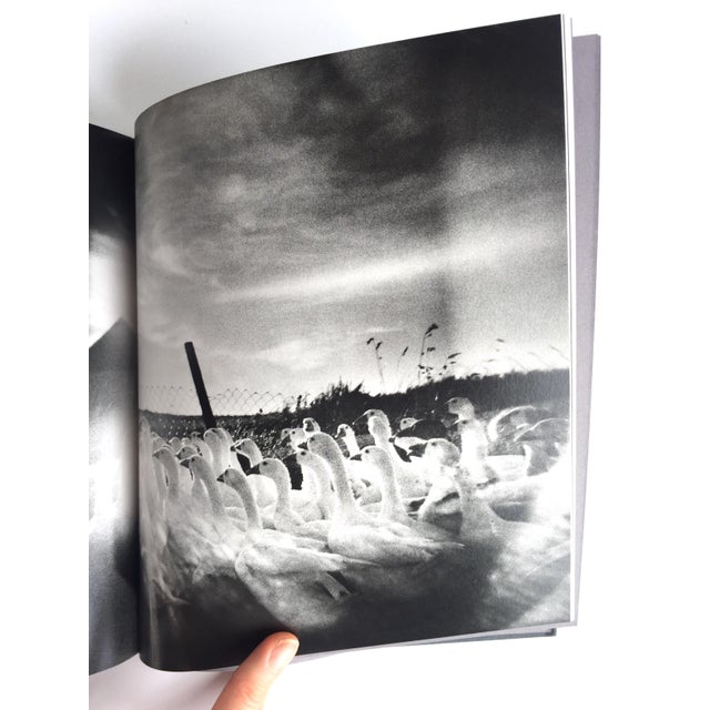 First Edition Lowlands Book by Swedish Photographer Martin Bogren For Sale - Image 9 of 10