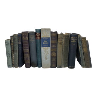 Shades of Blue Vintage Book Set - 15 Pieces For Sale