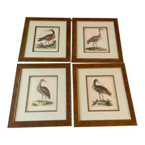 Set 6 George Edwards Mid Eighteenth Century Prints Beautifully Framed Hand Colored 133 136 137 138