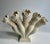 Ceramic Vintage Palin Thorley Five Finger Cream Porcelain Vase For Sale - Image 7 of 18