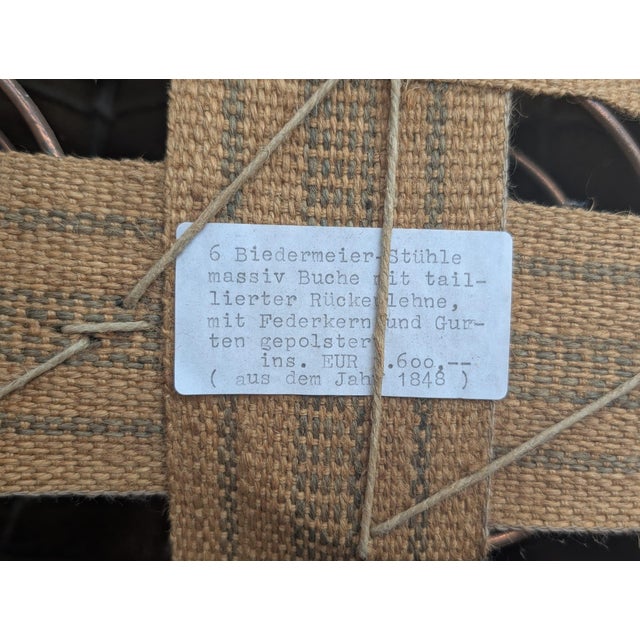 Biedermajer Chairs in Beech Wood with Springs, Set of 6 For Sale - Image 6 of 18