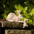 Modern Stone Mother Rabbit and Baby Bunny Self Sitter (Set of 2) For Sale - Image 3 of 4