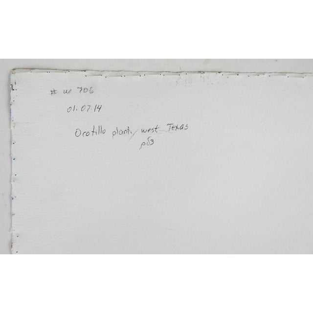 Vintage late 20th century watercolor on paper desert Ocotillo plant and landscape painting by Ahuva Shweiki (20th century)...