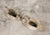 Vintage Pair of Stone Swan Planters From England For Sale - Image 11 of 11