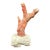 Red Coral Branch on Stand, Mid-20th Century For Sale