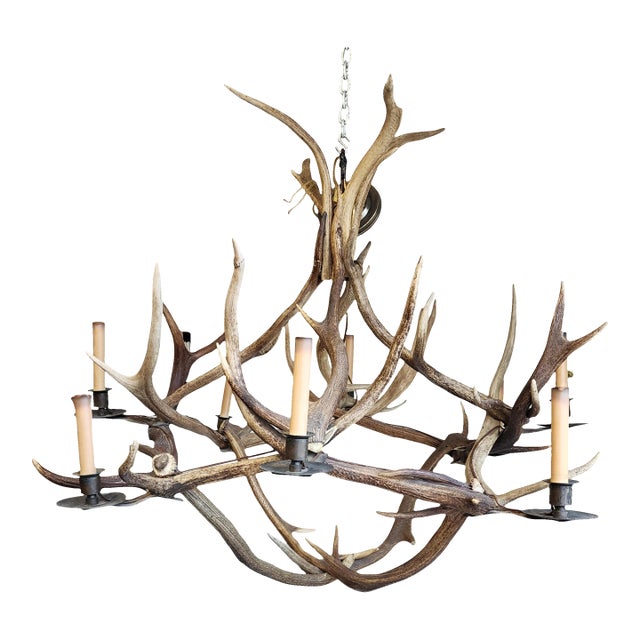 Antique Elk Antler Chandelier For Sale