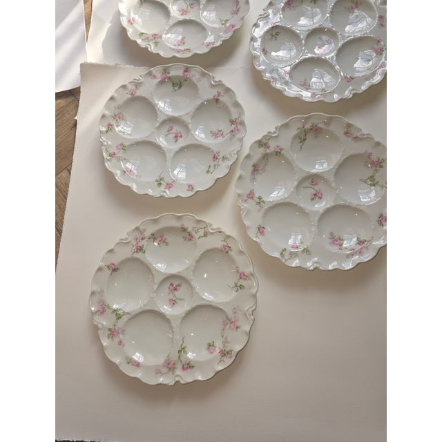 White Oyster Plates Collection of Eight French Haviland Limoges For Sale - Image 8 of 9