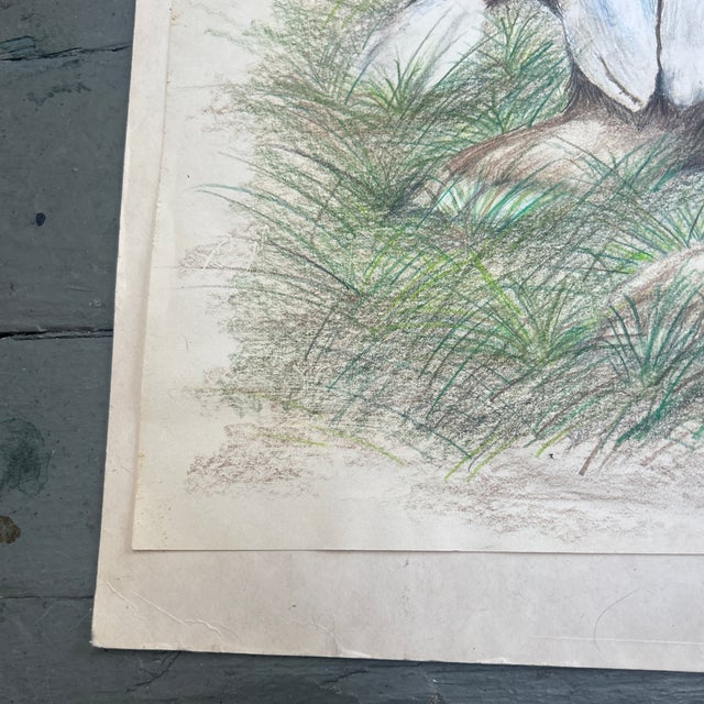 Realism 1970’s Original Rabbits in Field Colored Pencil Drawing For Sale - Image 3 of 7