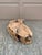 Vintage Folk Art Hand Carved Driftwood Whale Serving Tray For Sale - Image 9 of 10
