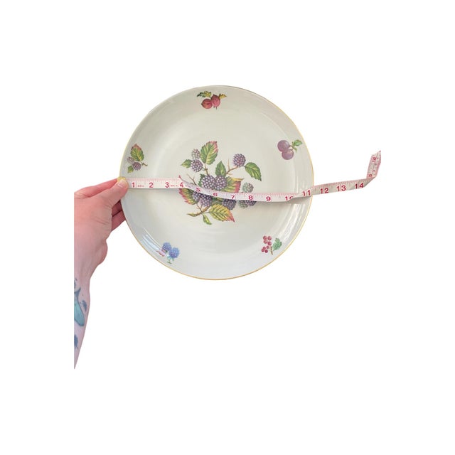 Vintage Naaman Israel Fruit Motif Porcelain China Dinner Plate 11" For Sale In Baltimore - Image 6 of 6