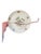 Vintage Naaman Israel Fruit Motif Porcelain China Dinner Plate 11" For Sale In Baltimore - Image 6 of 6