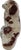 Late 19th Century Pair of Small Staffordshire Terriers For Sale - Image 5 of 7