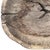 Rather Large 19th Century American Southwest Batea Washbasin For Sale - Image 13 of 15